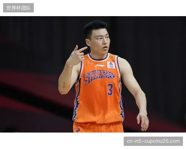 阶梯式外援工资帽及本土球员薪资新规，将深刻影响各队休赛期的引援策略。